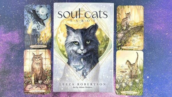 Soul Cats Tarot