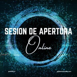 Sesiónes Individuales Online